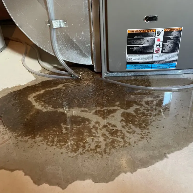 Pipe Burst and Leak Restoration in Ranchettes, WY