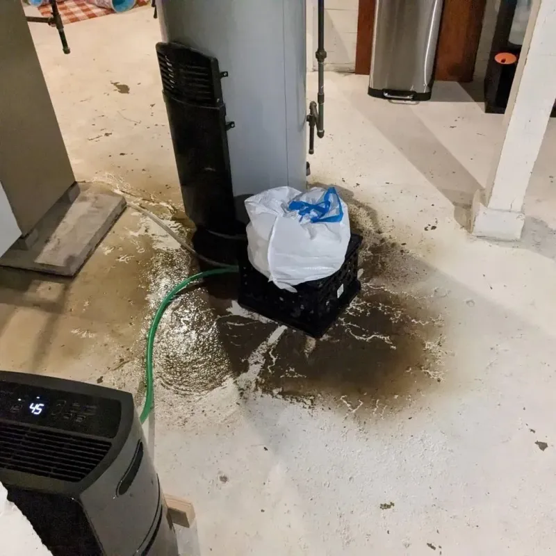 Sewage Backup Cleanup Service in Ranchettes, WY
